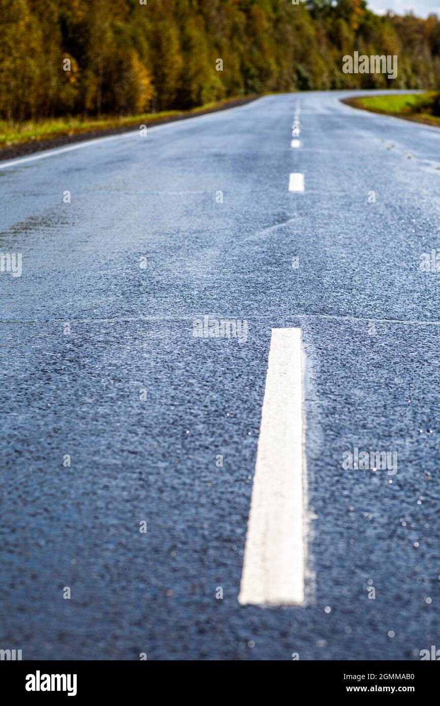 Straight road with a marking on the nature background. Open Road in ...