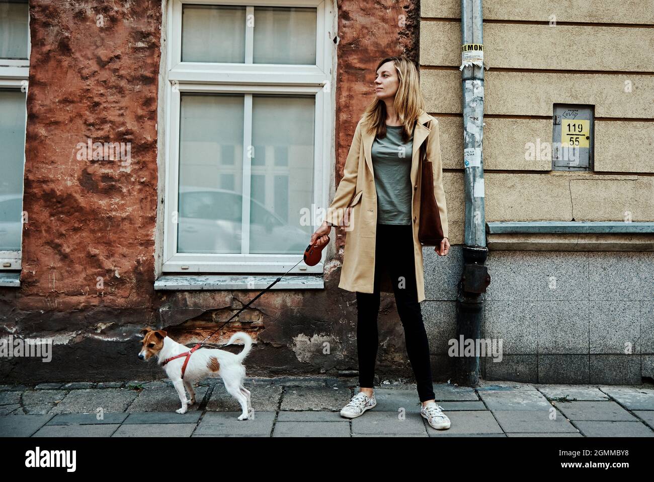 Woman walk with her dog at city street in summer day Stock Photo - Alamy