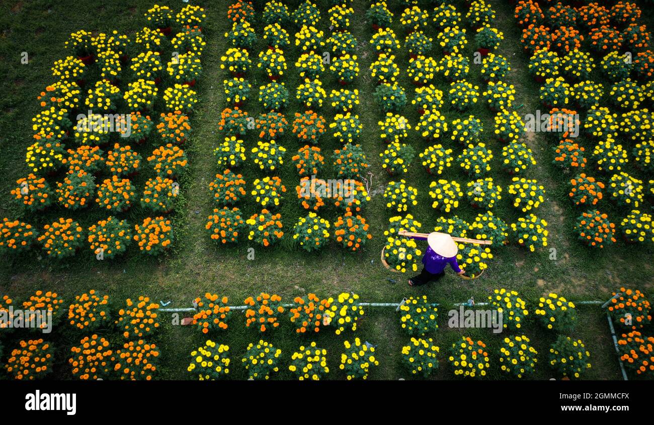 Cai Mon flower village in Ben Tre province southern Vietnam Stock Photo