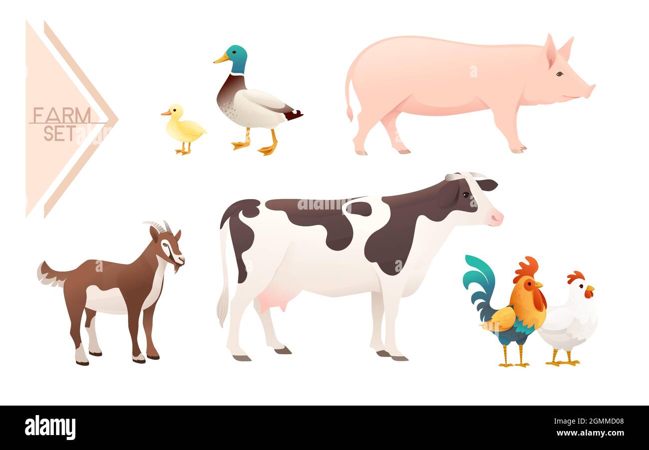 Set of domestic farm animals vector illustration on white background ...