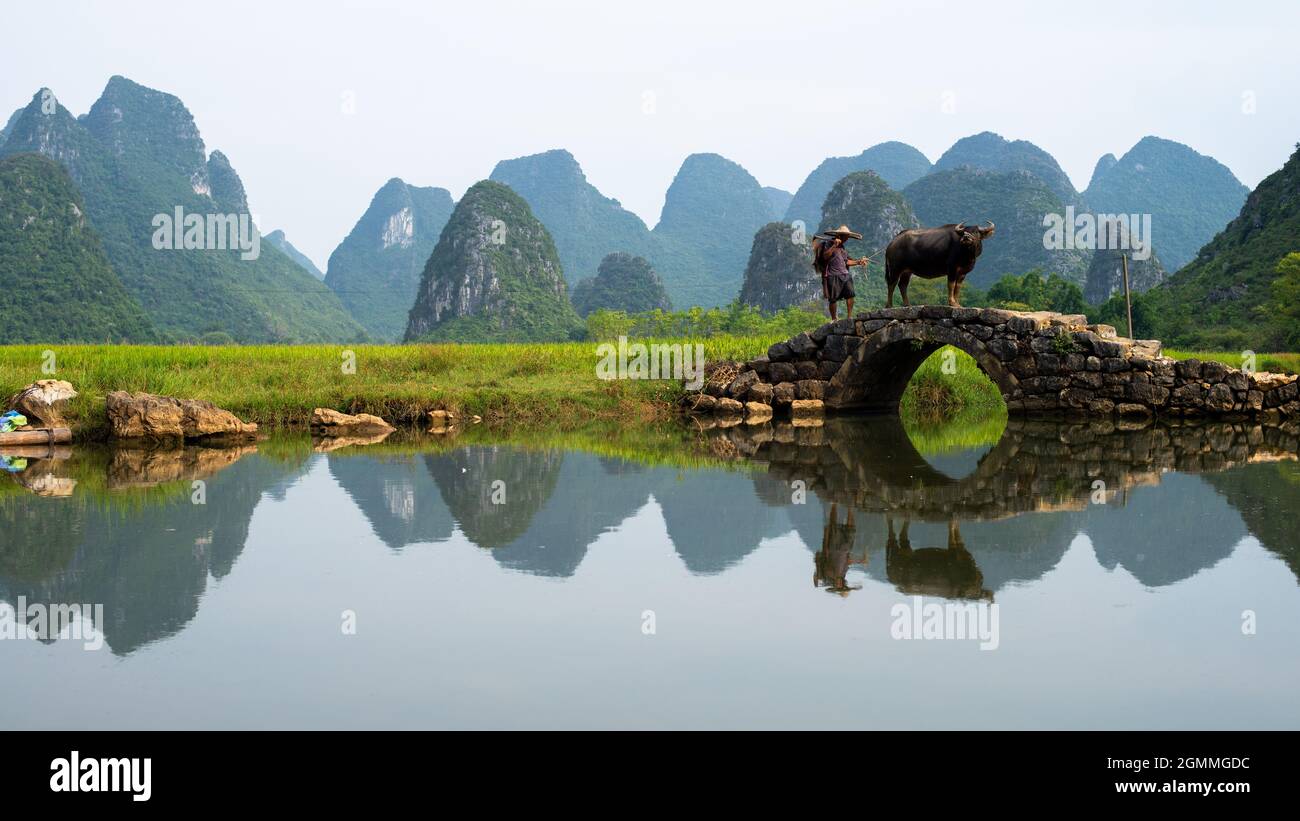 Farmer walks in rice field hi-res stock photography and images - Alamy