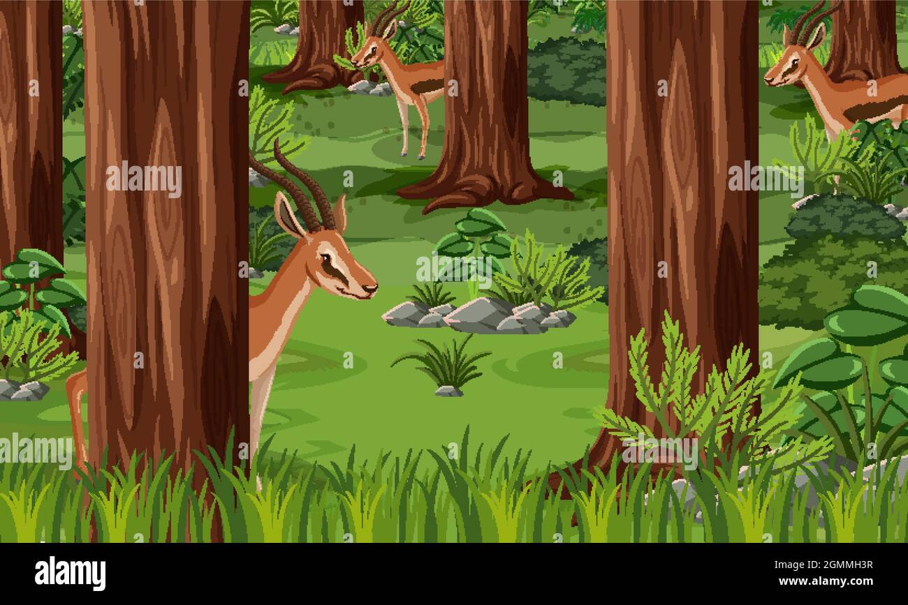 Wild animals in forest landscape background illustration Stock Vector ...