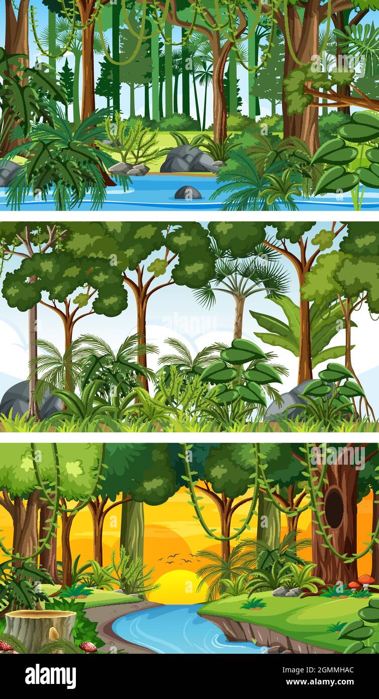 Three different nature horizontal scenes illustration Stock Vector