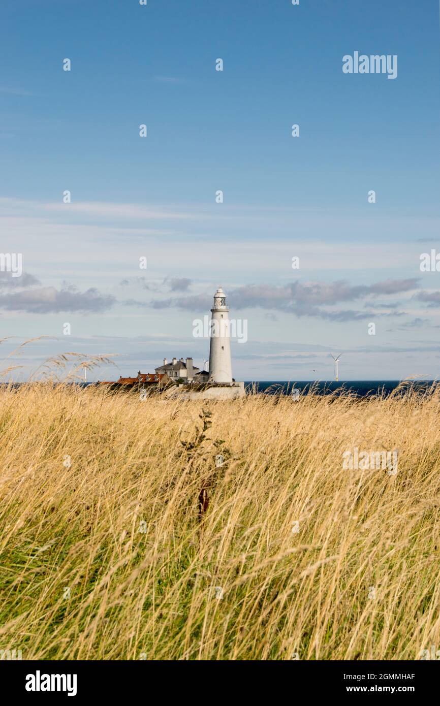 St Mary's Lighthouse on the North East Coast at Whitley Bay Stock Photo