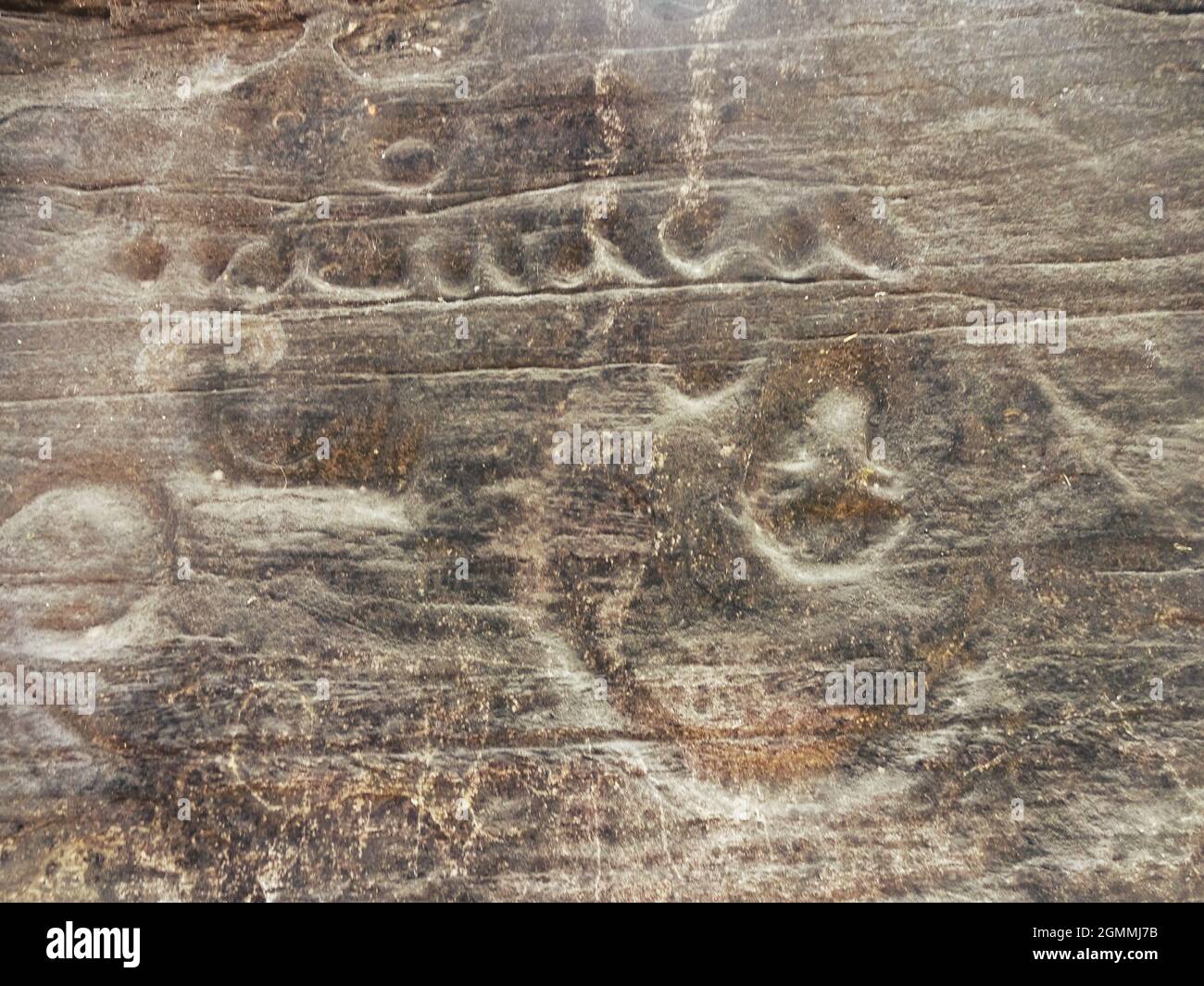 carving at udayagiri caves bhopal madhya pradesh india Stock Photo - Alamy