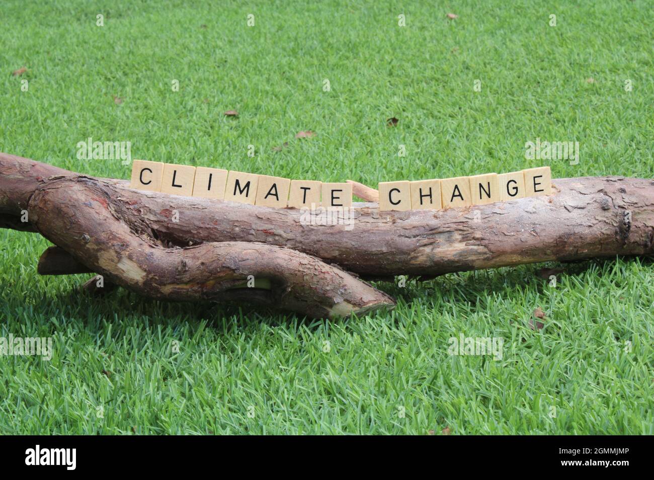 Cut Down Tree With The Words Climate Change In Wooden Blocks With Copy cut-down-tree-with-the-words-climate-change-in-wooden-blocks-with-copy