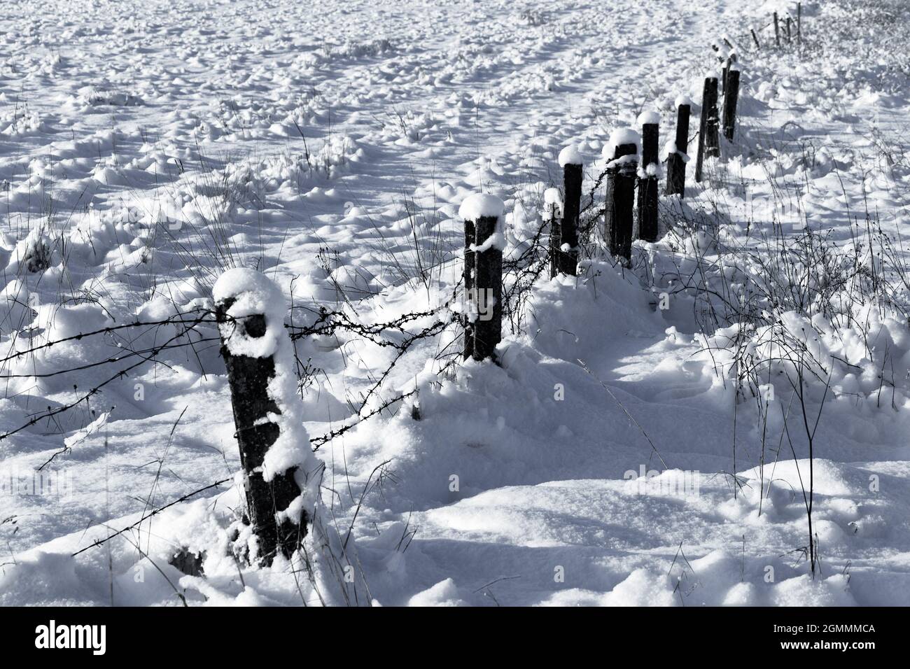 Barbed wire fence with snow - black and white photo Stock Photo