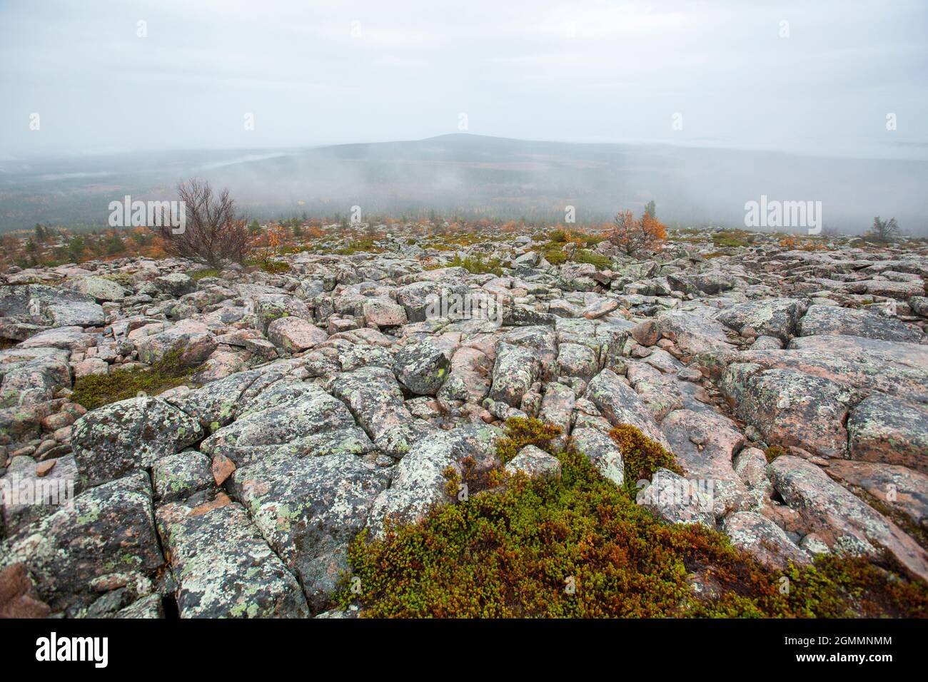 Autumnal foggy and stony landscape of Sallatunturi, Salla, Finland, Northern Europe Stock Photo