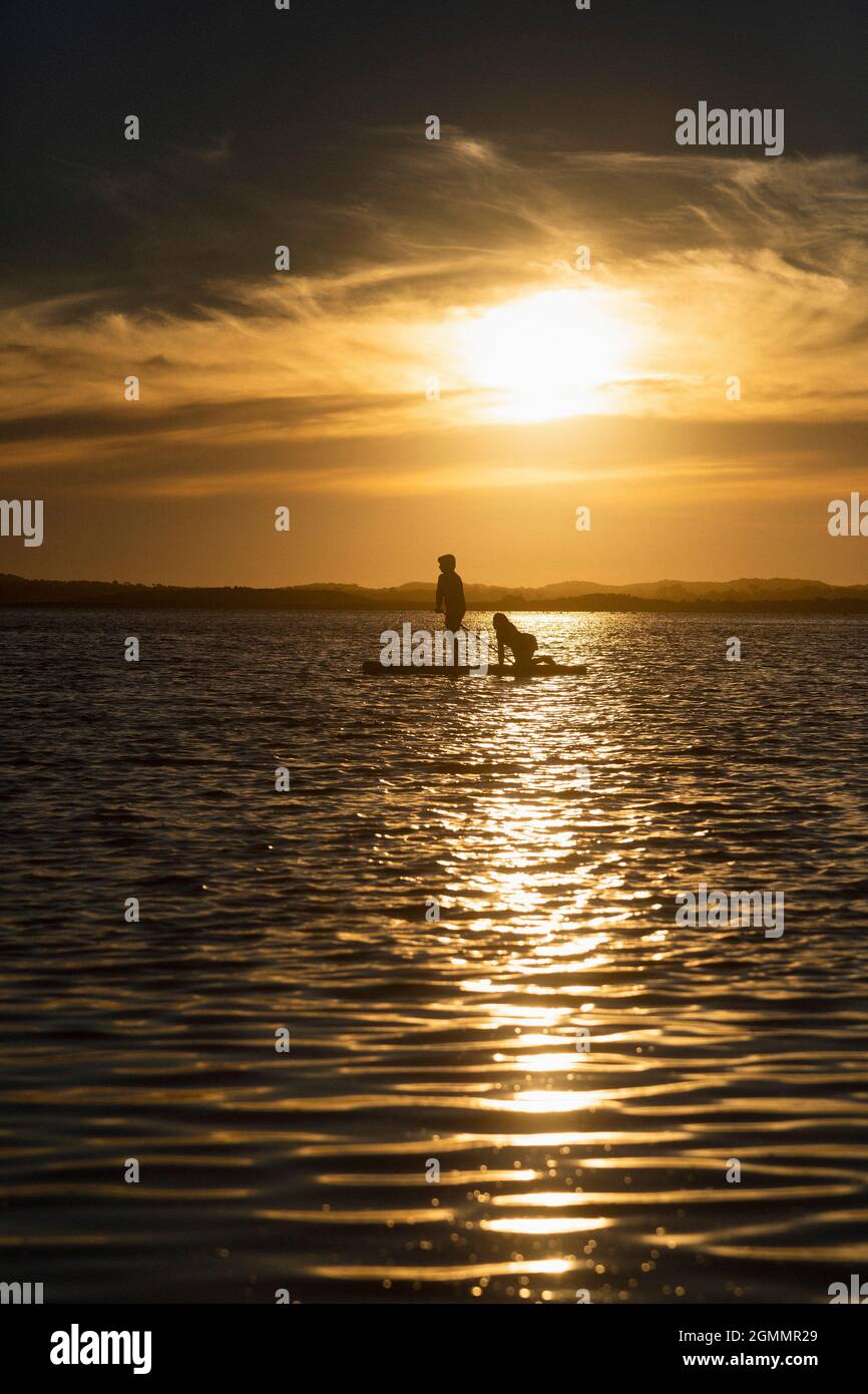 Mother and son paddle boarding on tranquil sunset ocean, Victoria, Australia Stock Photo