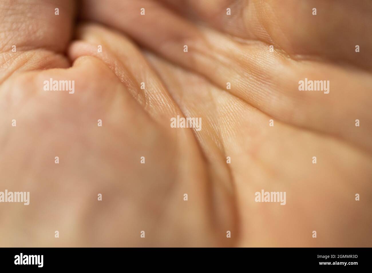 Close up lines on hand Stock Photo