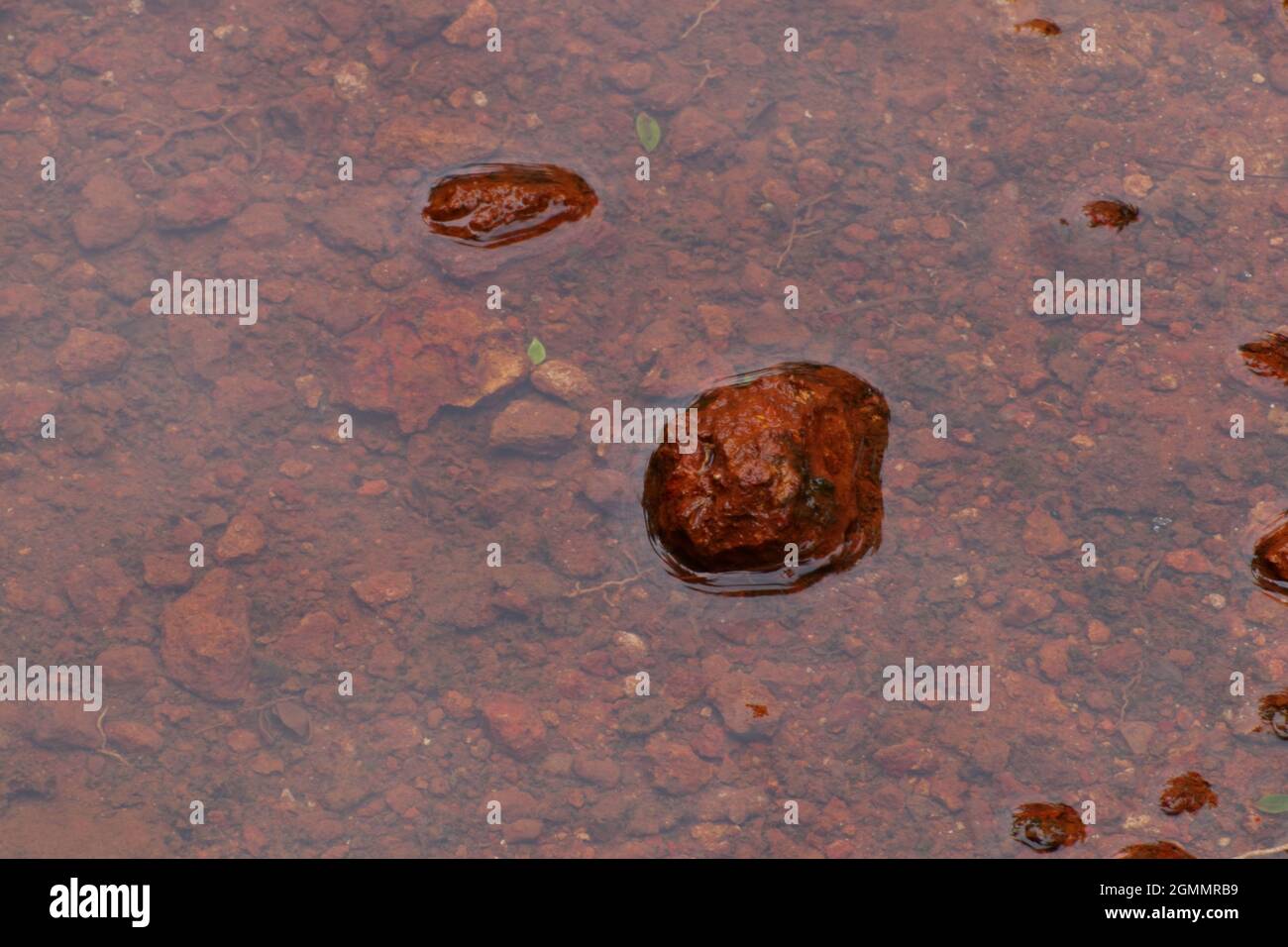 red stones created pattern in water Stock Photo