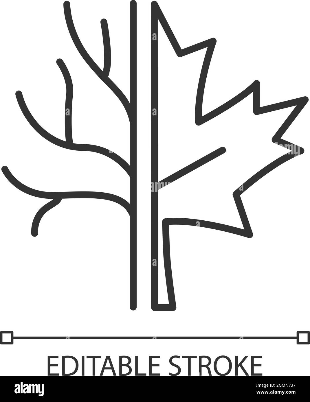 Maple tree linear icon Stock Vector