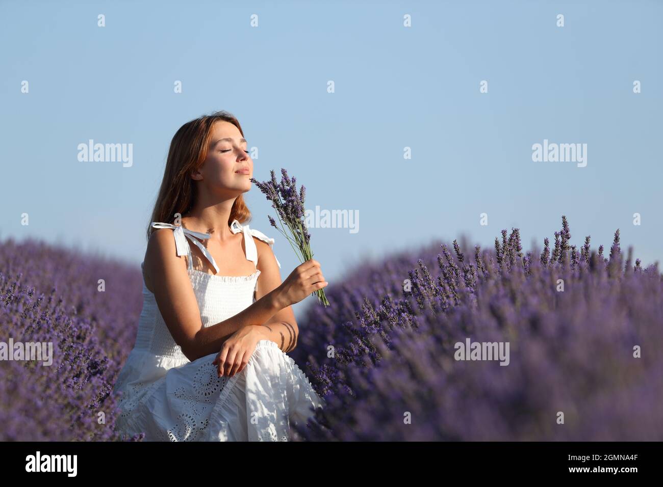 Happy woman wearing white dress smelling bouquet of lavender flowers in a field Stock Photo