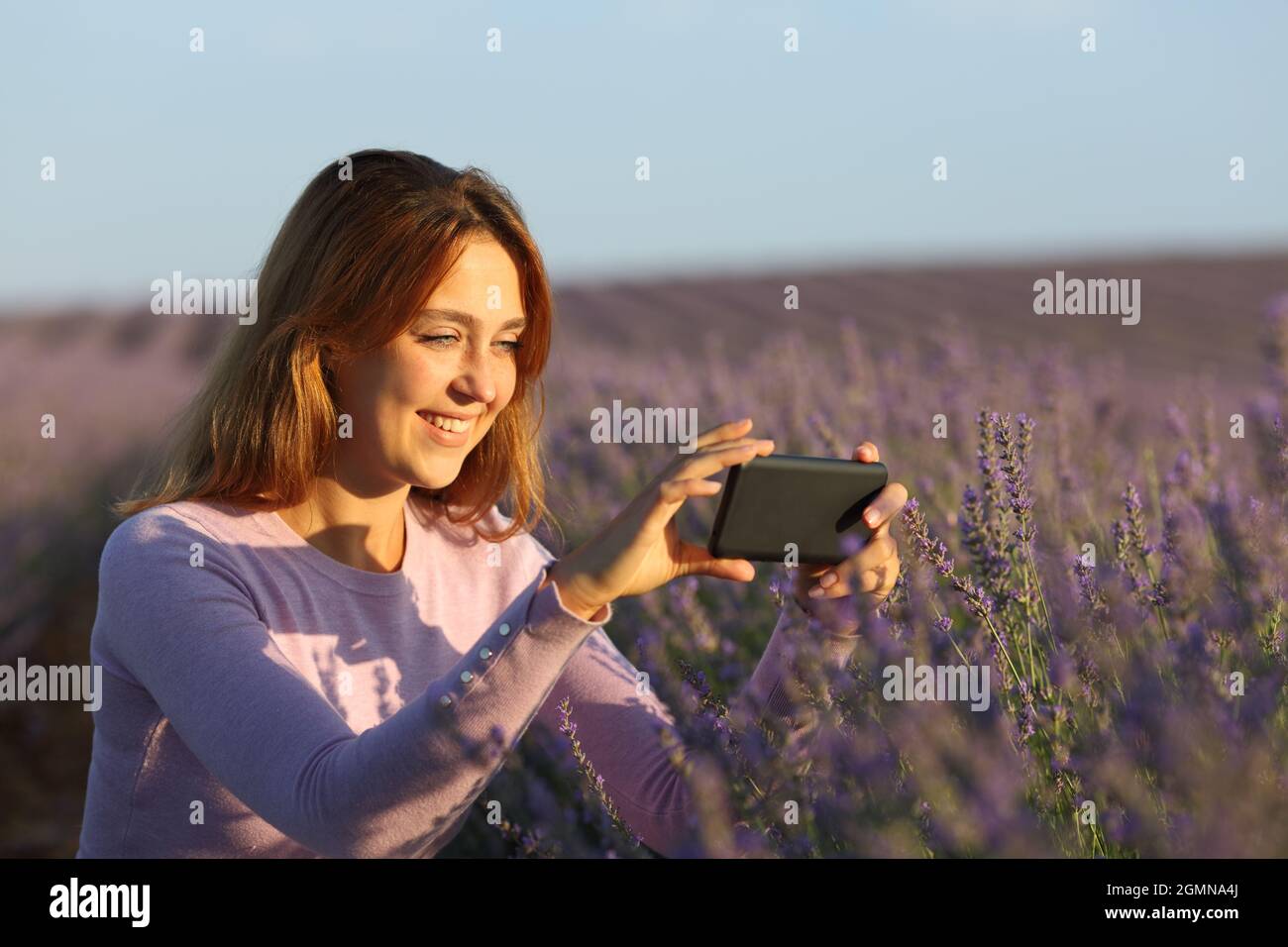 Happy woman taking photos with smartphone in lavender field at sunset Stock Photo