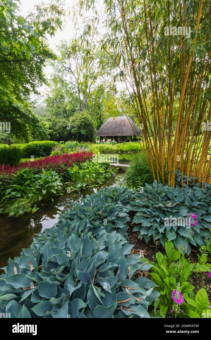 England, Hampshire, Test Valley, Stockbridge, Longstock, Leckford Estate, Longstock Park Water