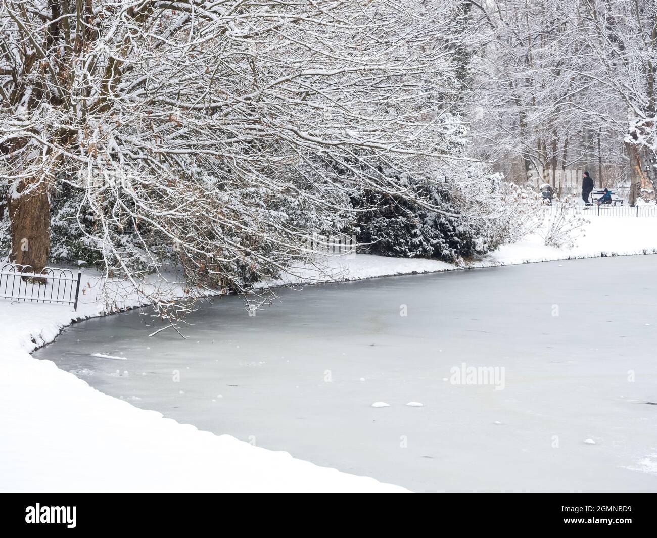 Snowfall in winter park frosty hi-res stock photography and images - Alamy