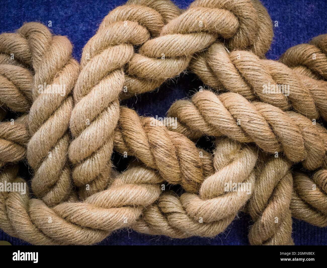 How to tie a reef knot hires stock photography and images Alamy