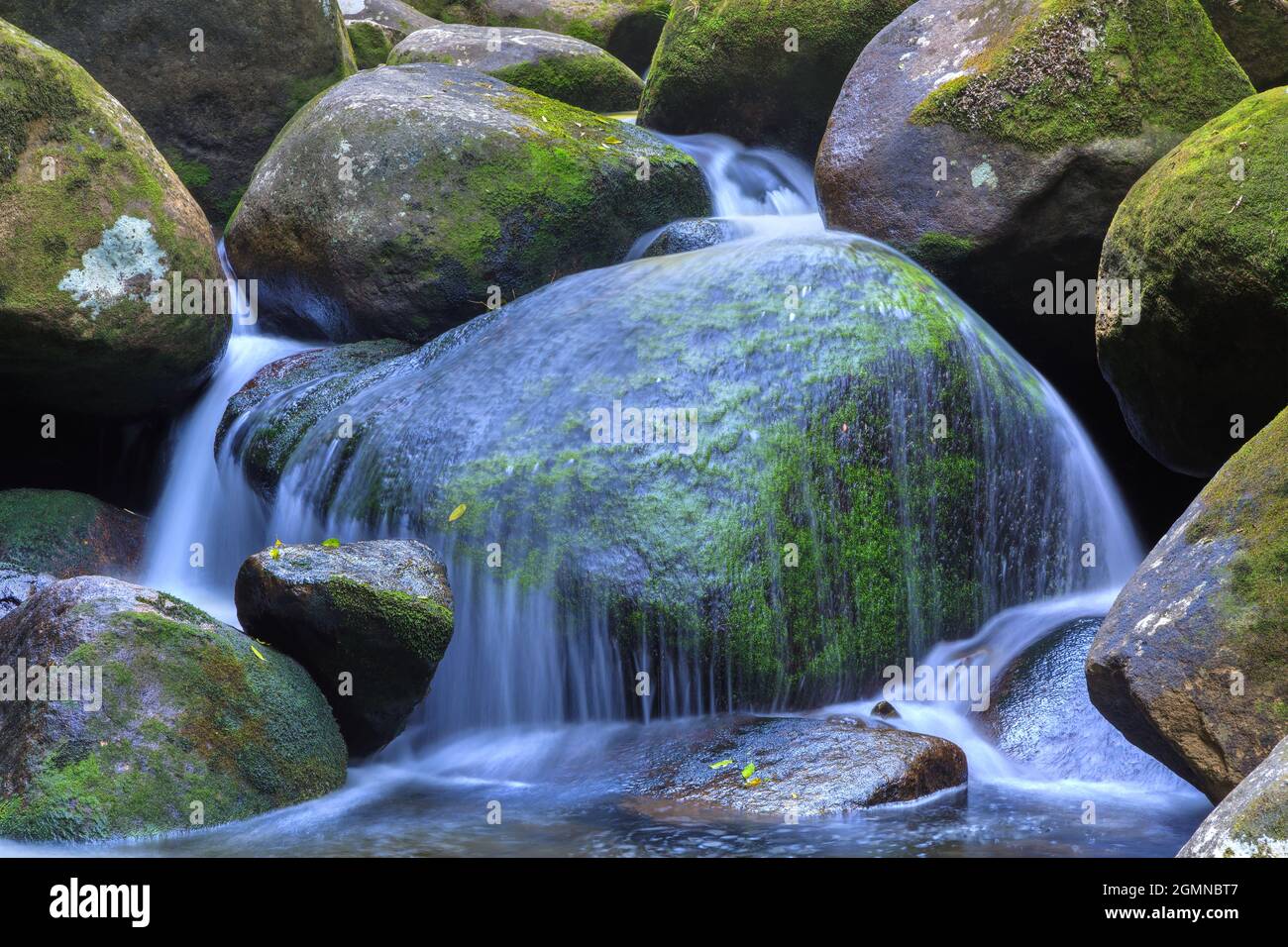 A curtain of water cascades over a mossy boulder. Photographed in the New Zealand forest Stock Photo