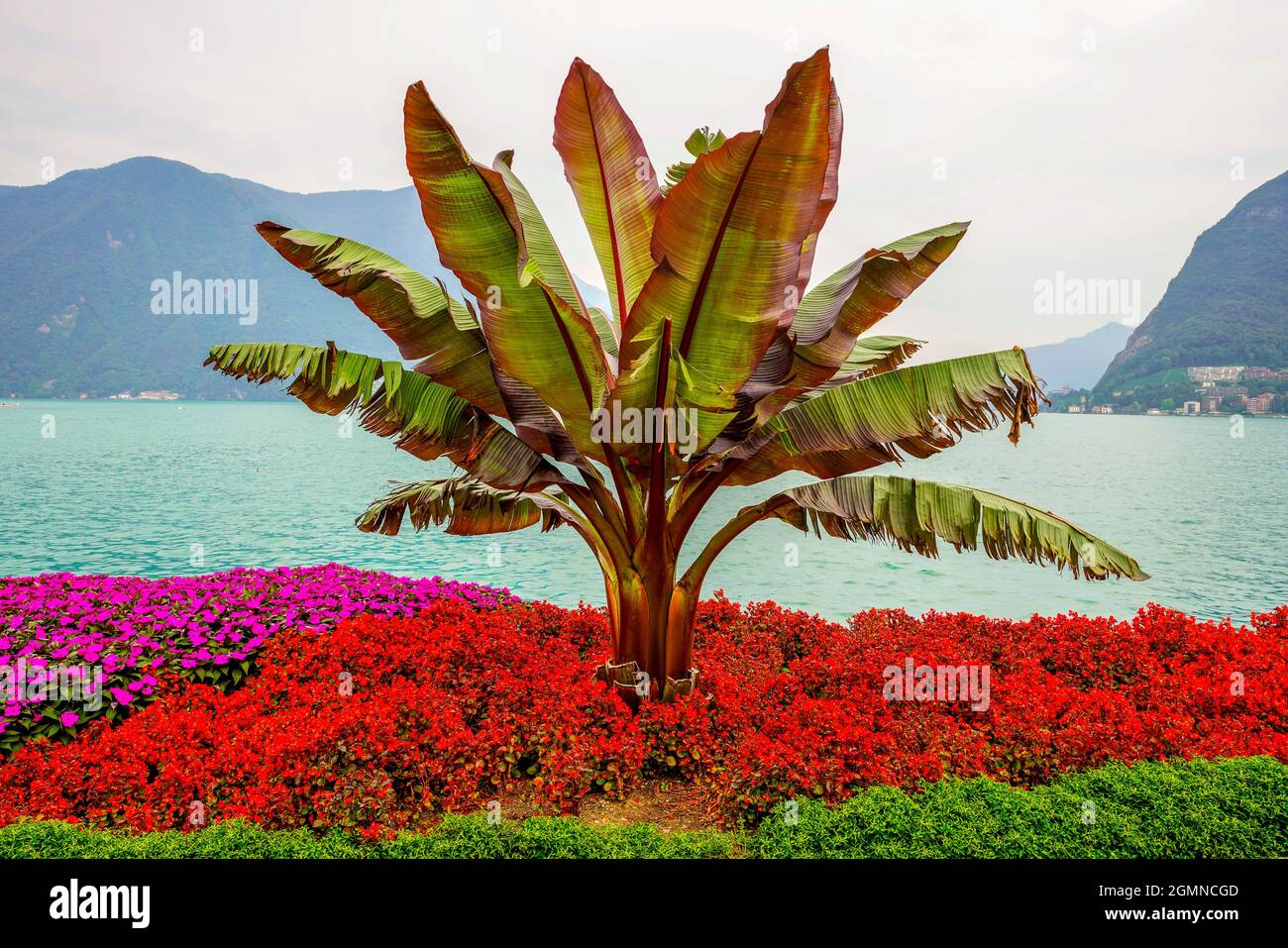 View of Lugano Lake from Parco Ciani, and its flower garden. Lugano