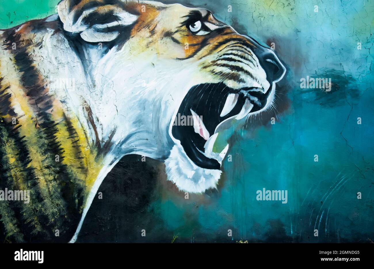 ALIGARH, INDIA - AUGUST 20, 2021: Close up of TIGER PAINTING on the wall in the park. Floral pattern background. Stock Photo