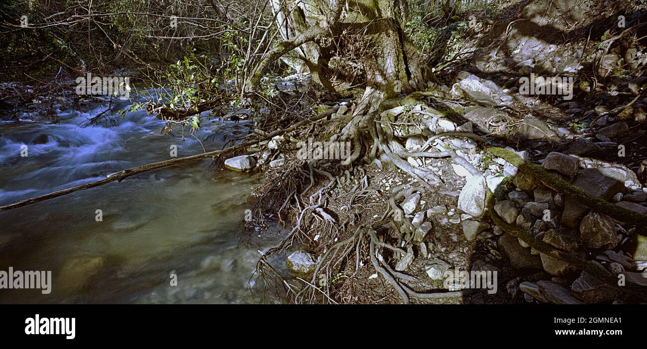 Sieve river MUgello valley,Tuscany, wilderness Stock Photo Alamy
