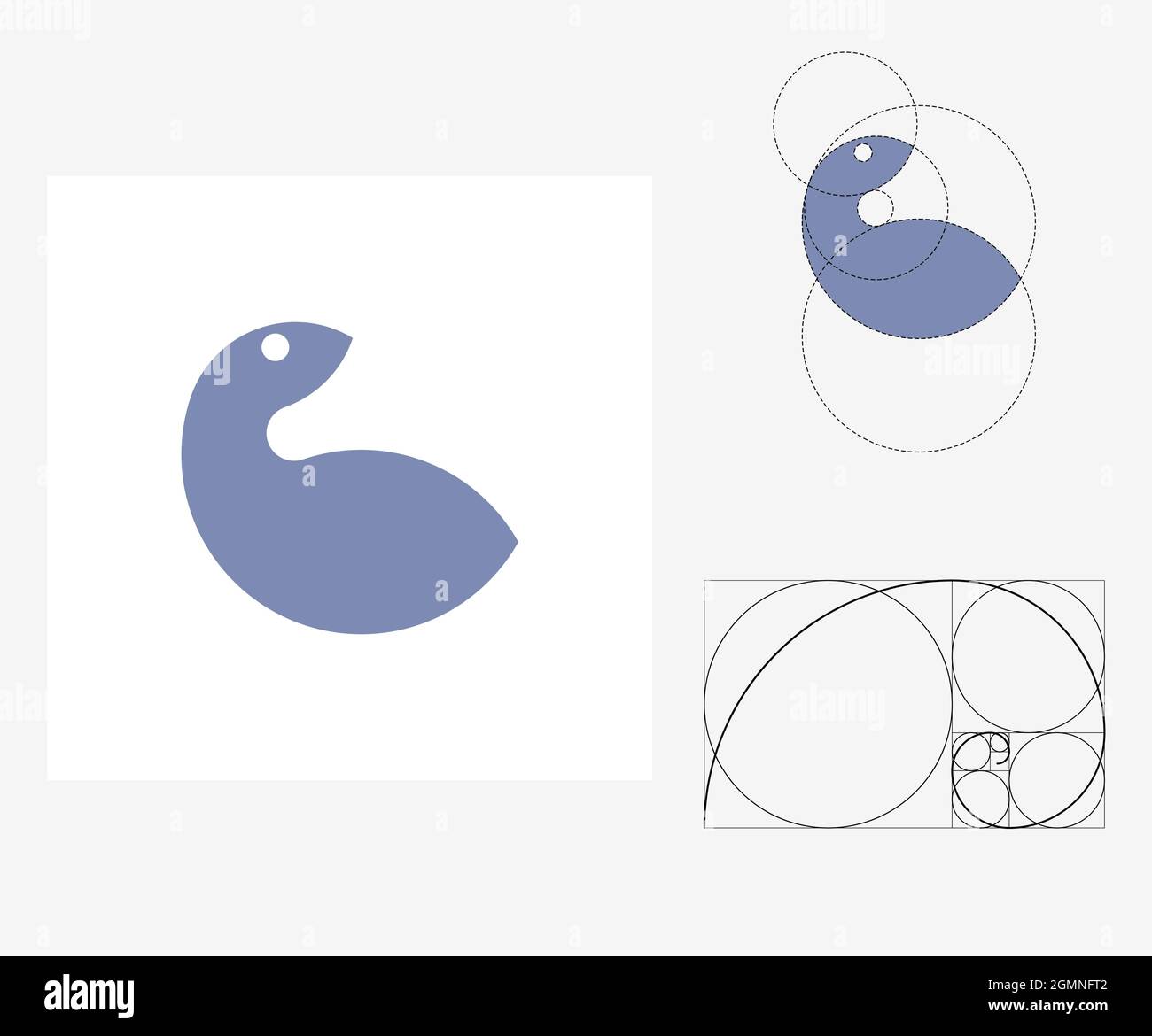 Vector squirrel in golden ratio style. Editable illustration Stock Vector