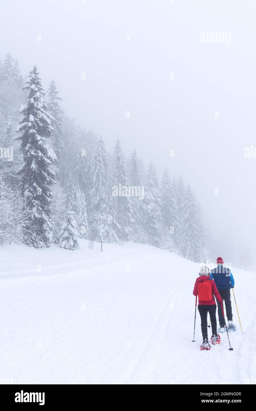 Couple hiking is snowshoes with nordic walking sticks in snow covered