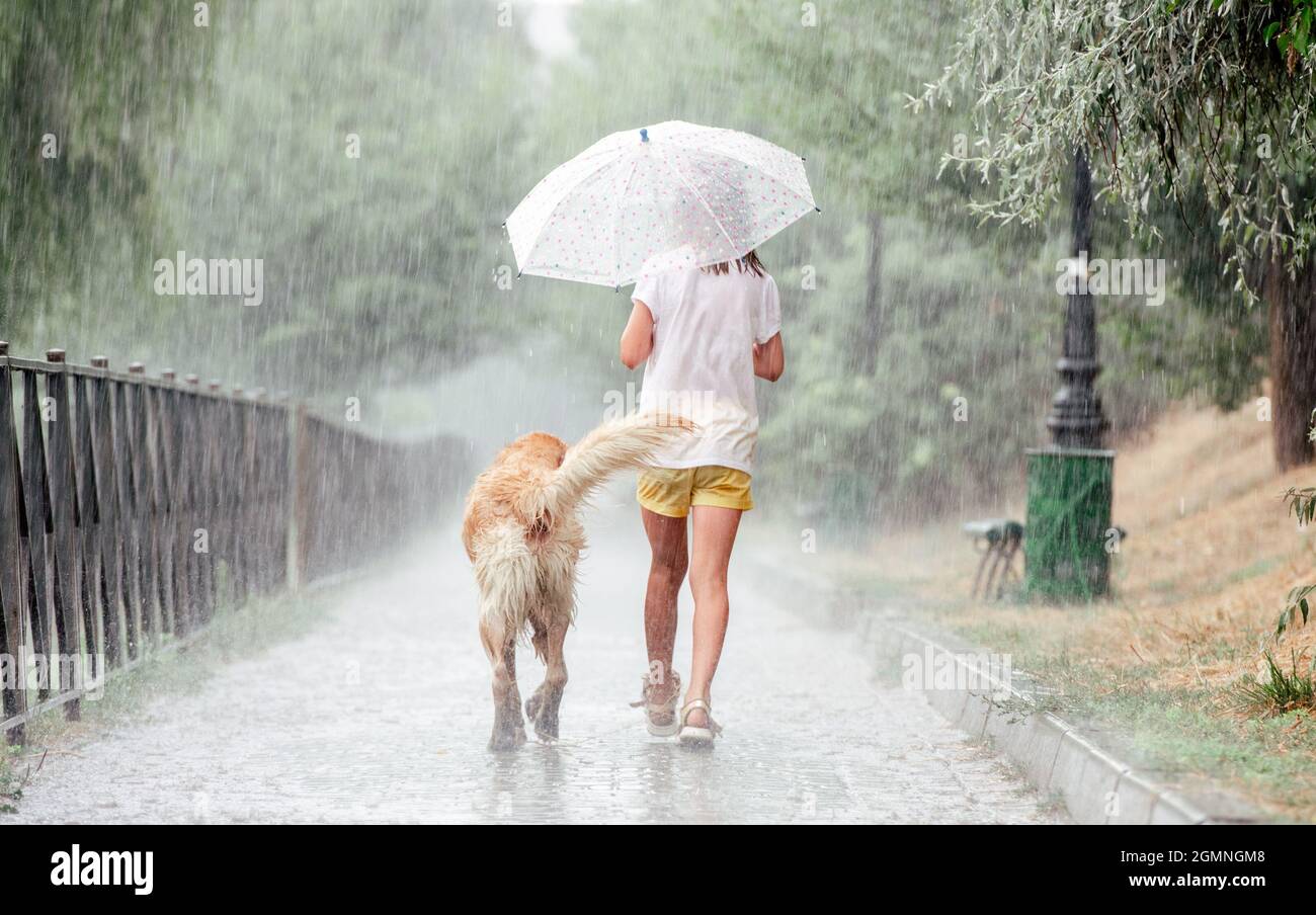 Girl with golden retriever dog in rainy day Stock Photo - Alamy