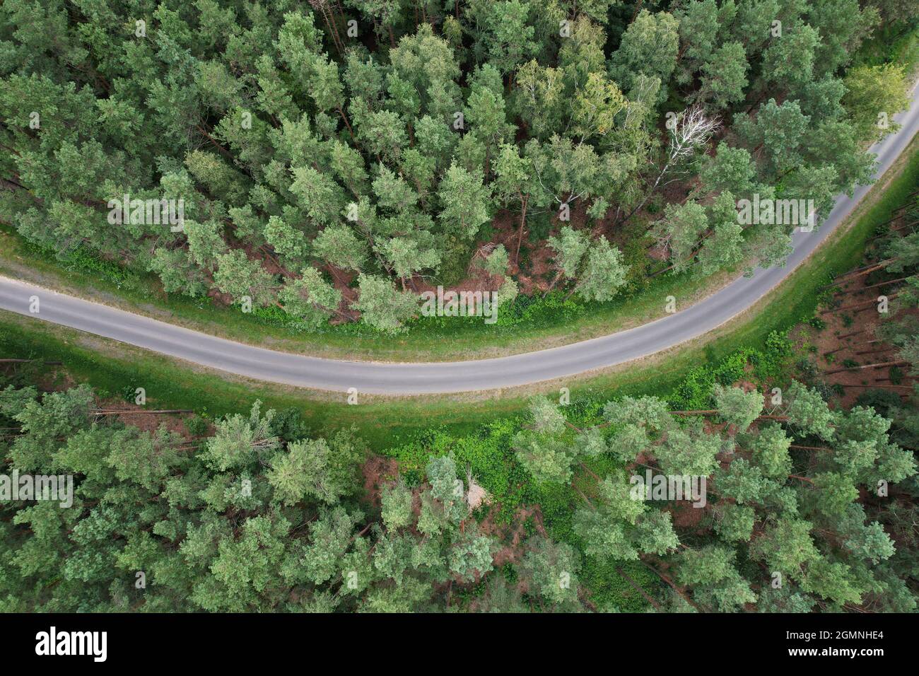 Empty road in forest aerial drone view. Rural green forest Stock Photo