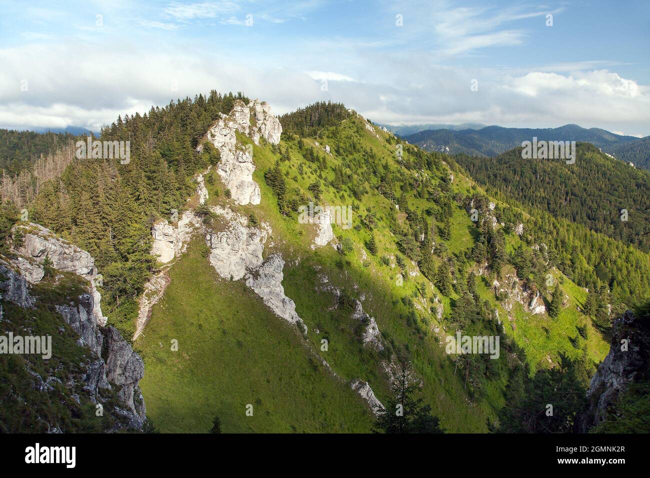 Velka fatra mountains panoramic view, Velka Fatra national park, Slovakia, Carpathian mountains, mount Zadna Ostra Stock Photo