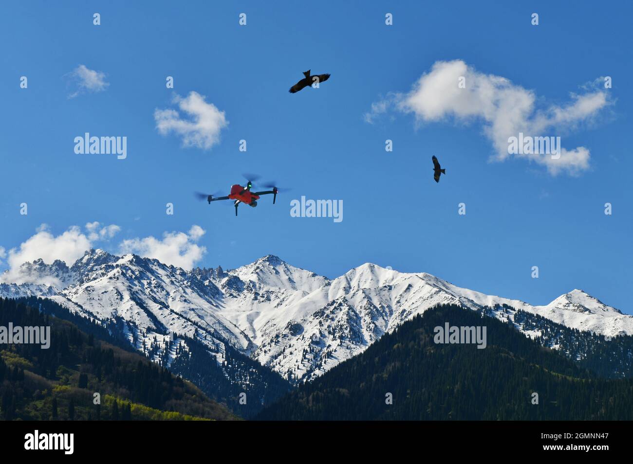 Eagles flying drone hires stock photography and images Alamy
