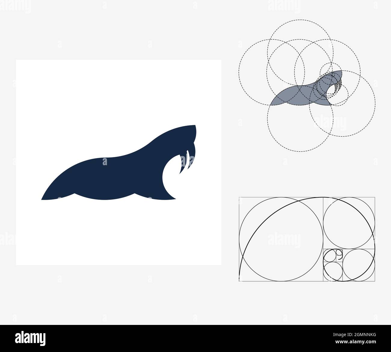 Vector walrus in golden ratio style. Editable illustration Stock Vector Image & Art - Alamy Vector walrus in golden ratio style. Editable illustration Stock Vector Image & Art - Alamy