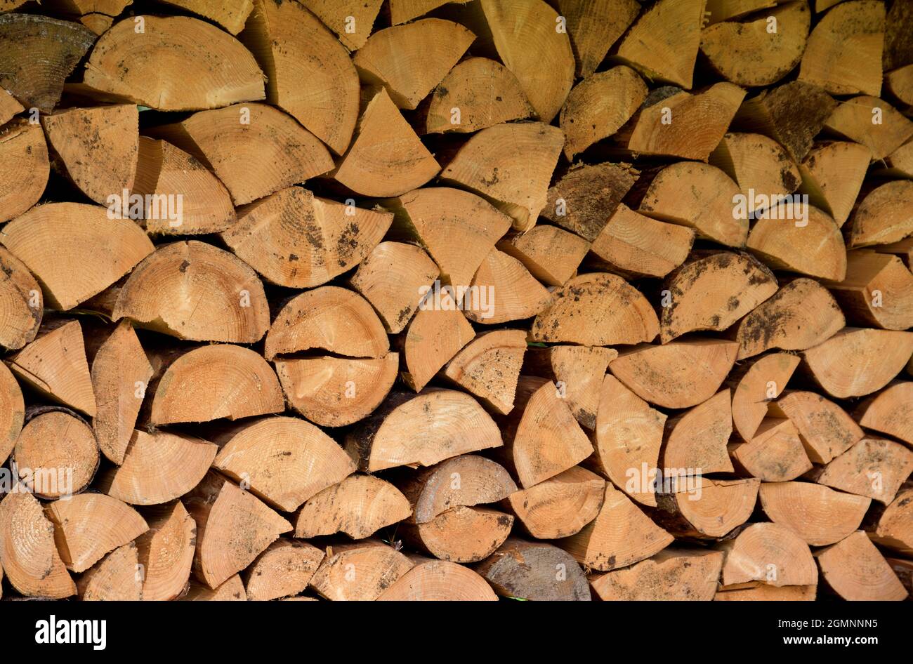 Logs of wood piled up in good order as a supply for the winter Stock Photo