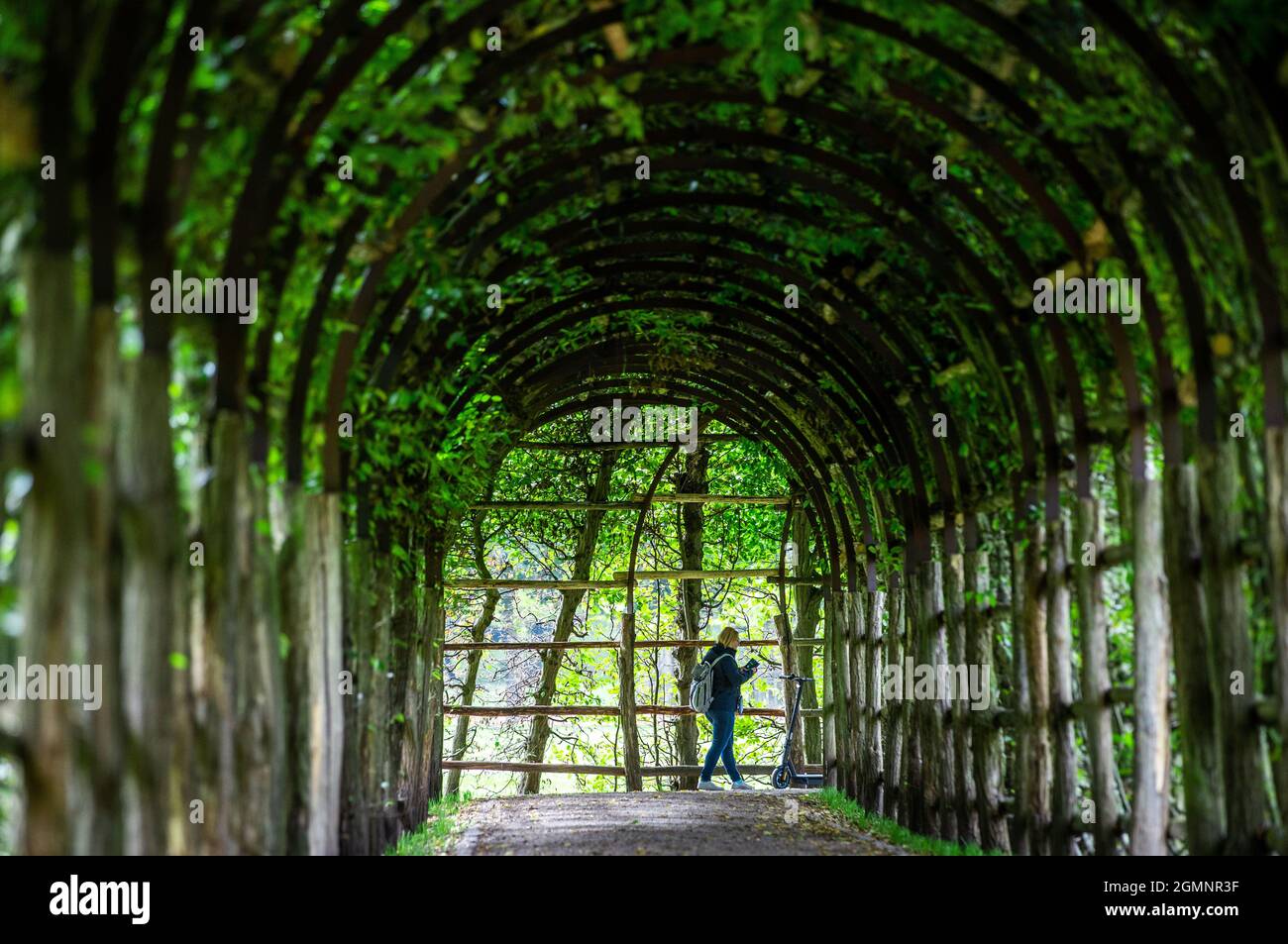most beautiful strollers