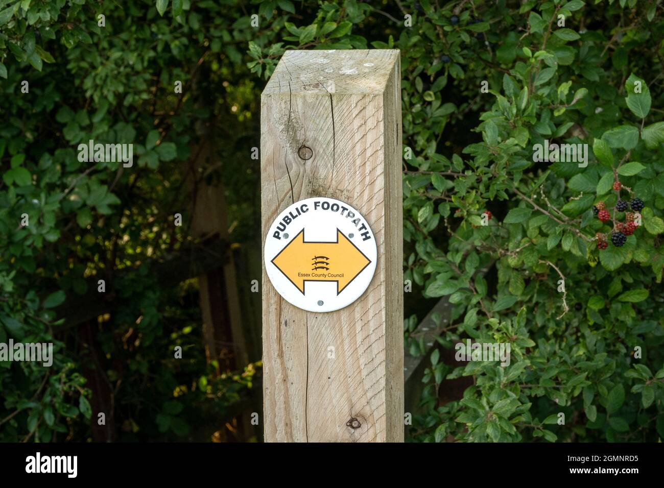 Public footpath sign on a roundel with yellow arrow on a white background mounted on a wooden post pointing left and right Stock Photo