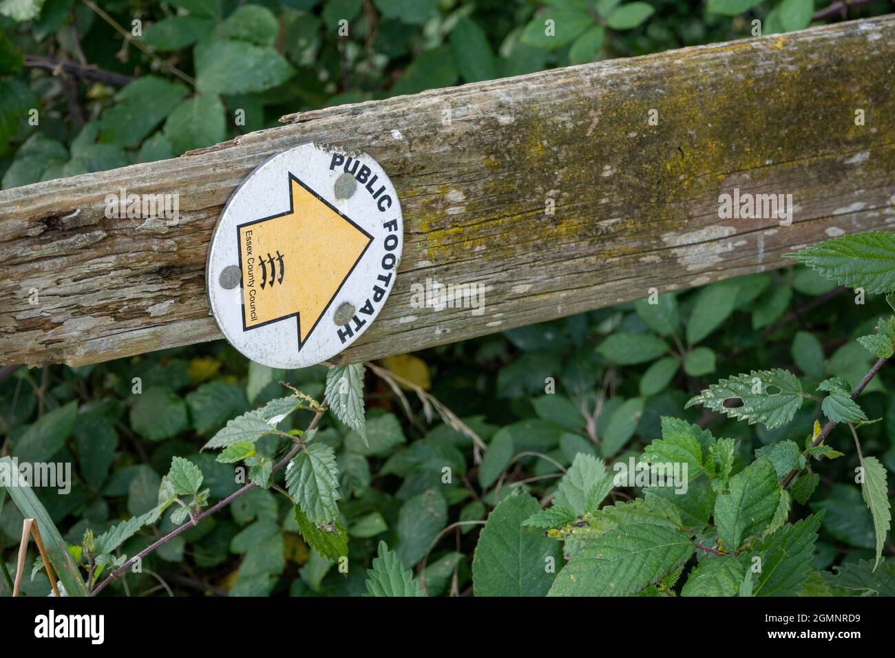 Public footpath sign on a roundel with yellow arrow on a white background a wooden gate bar pointing Stock Photo - Alamy