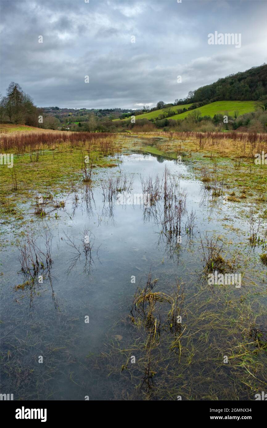 Waterlogged ground alongside the river Wye at Tintern. Stock Photo