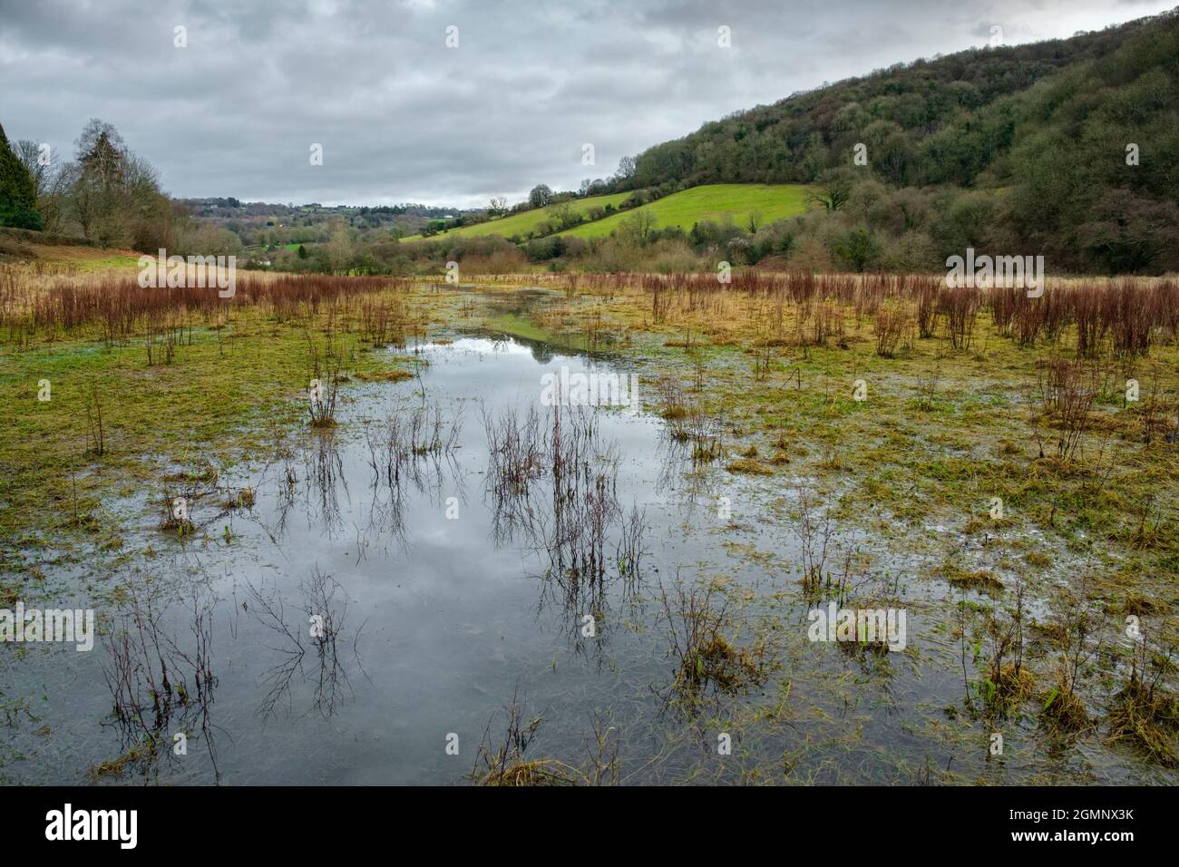 Waterlogged ground alongside the river Wye at Tintern. Stock Photo