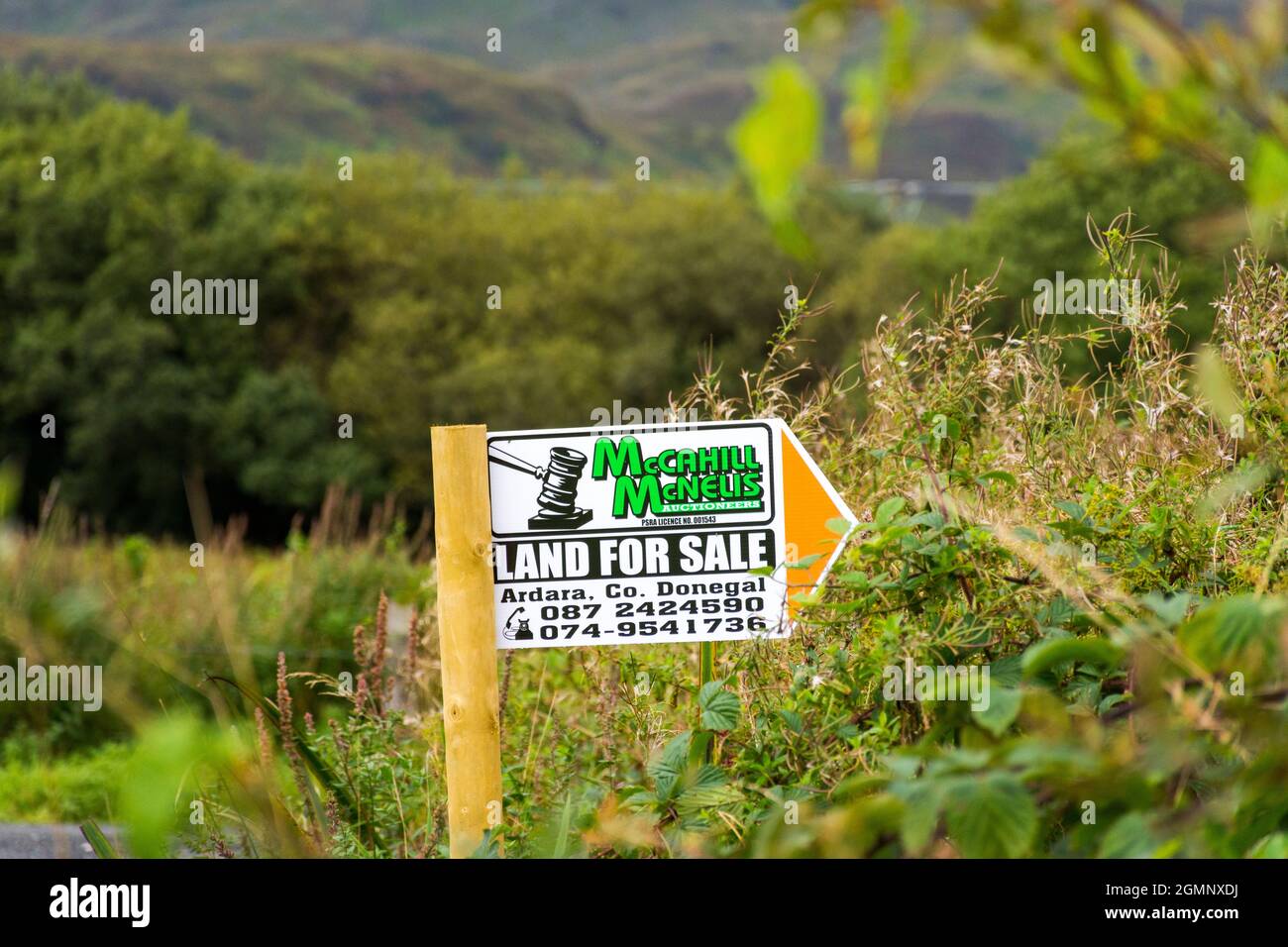 Signpost, sign, signage, Land for Sale. Ardara, County Donegal, Ireland Stock Photo