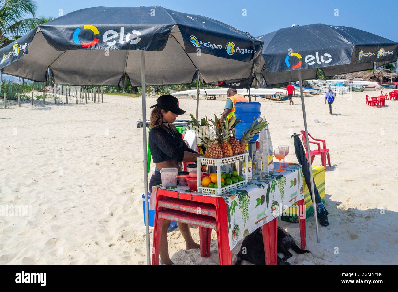 Young Brazilian woman selling alcoholic drinks in the Piratininga beach in Rio de Janeiro, Brazil. With a beautiful landscape, this famous place is a Stock Photo