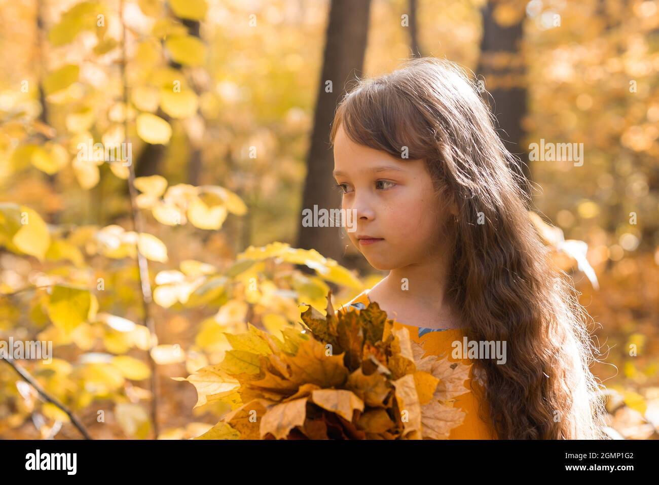 Little kid girl with autumn orange leaves in a park. Lifestyle, fall ...
