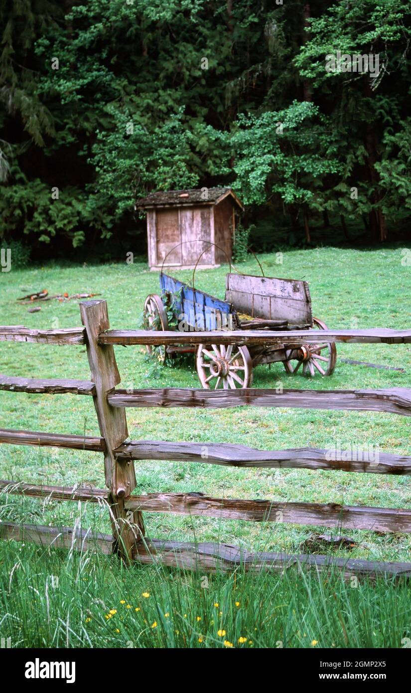 Vertical shot wooden shed hi-res stock photography and images - Alamy