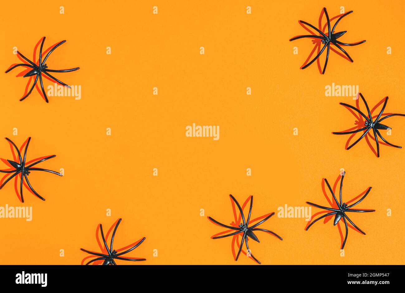 orange halloween background. many black spiders Stock Photo - Alamy