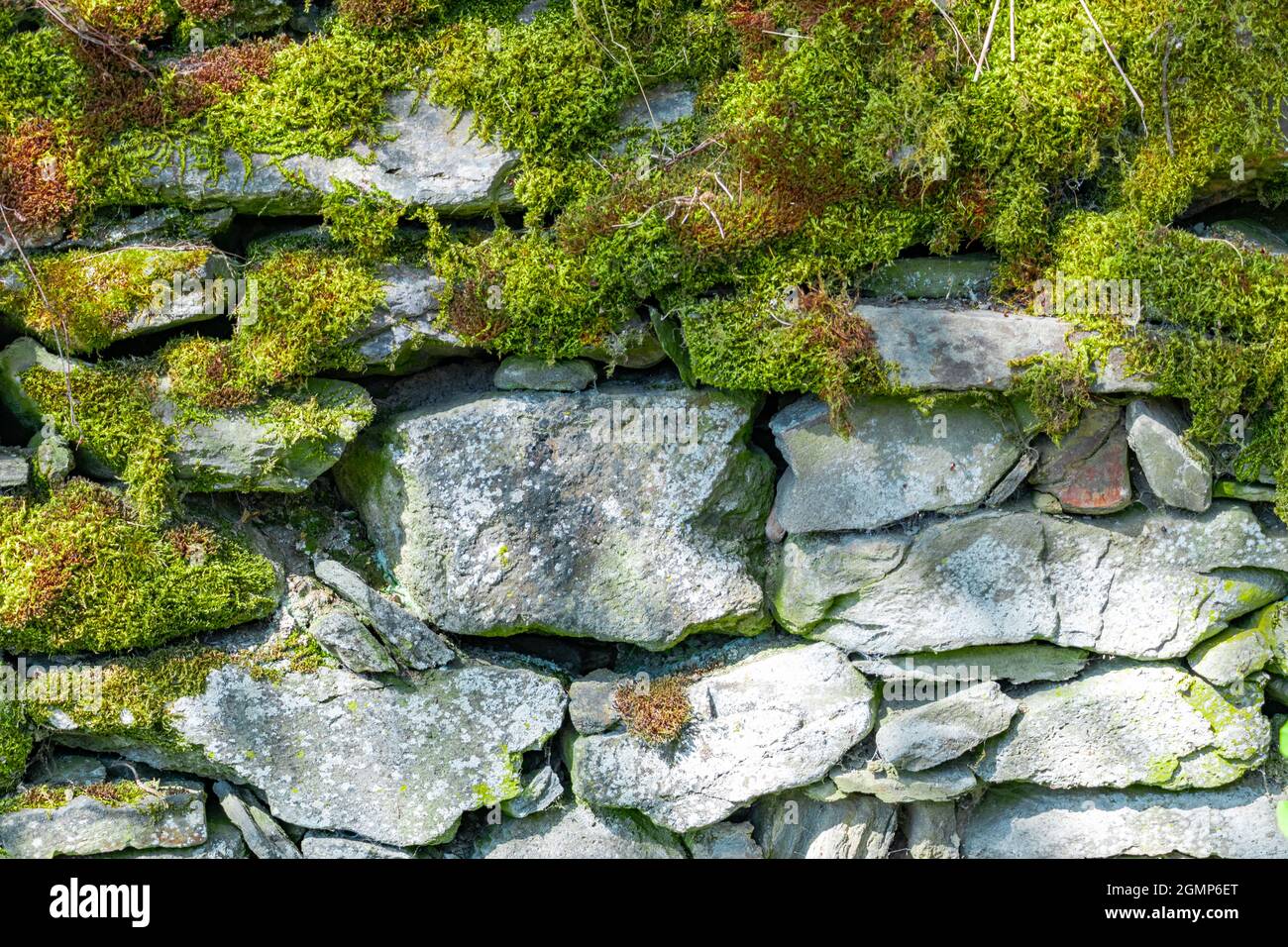 stone wall covered with moss Stock Photo - Alamy