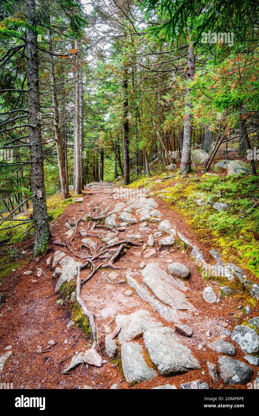 Hiking trail along the Long Pond in Acadia National Park in Maine Stock Photo