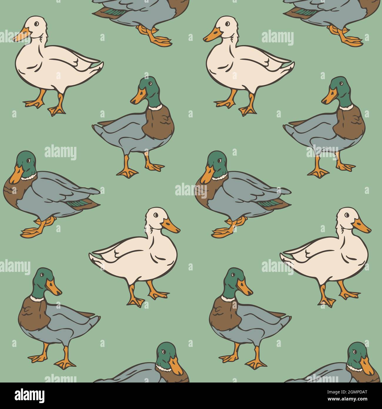 Vector seamless pattern with ducks. Domestic and wild ducks on green background. Stock Vector