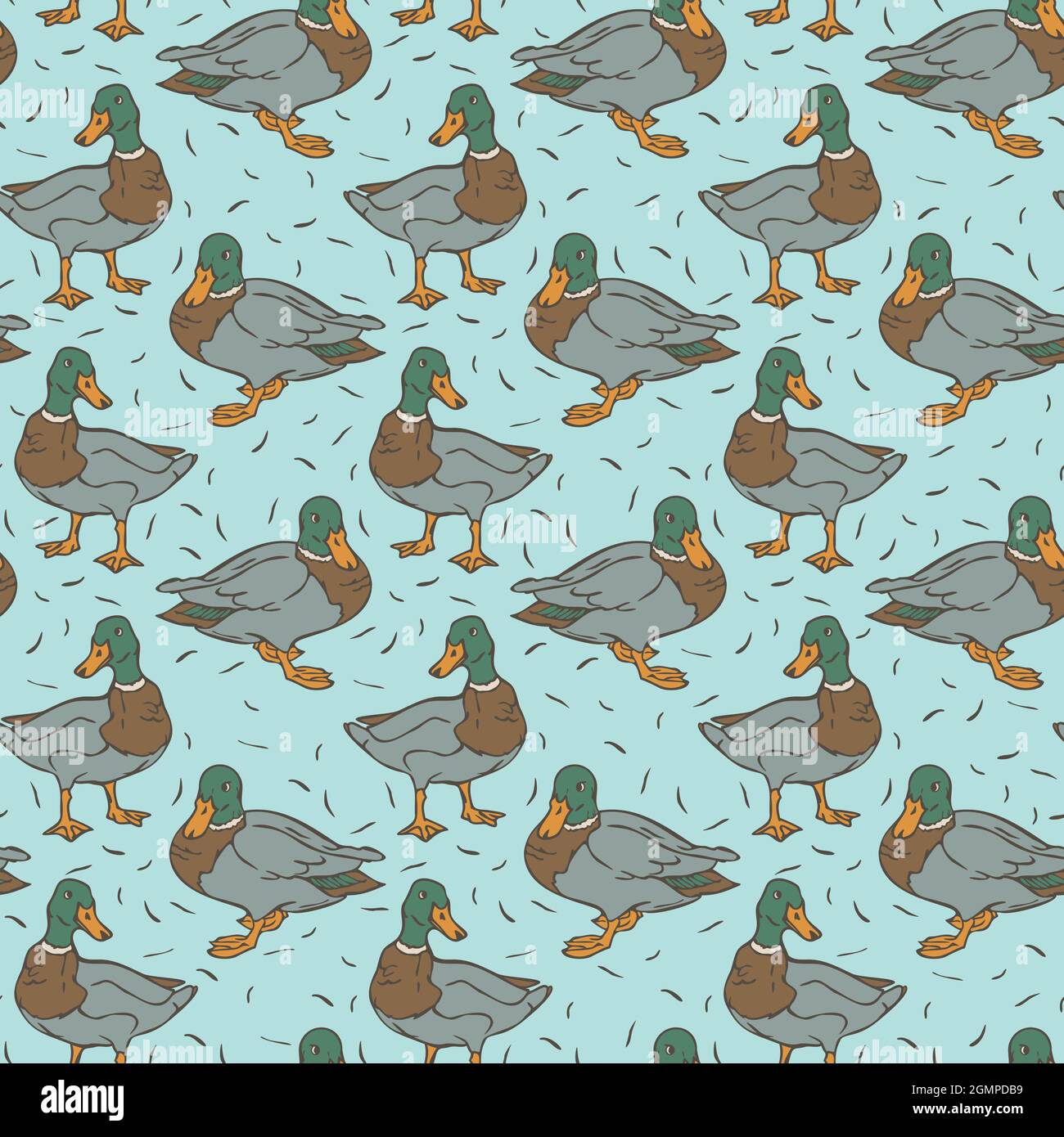 Vector seamless pattern with wild ducks on blue backround. Design with drakes. Stock Vector