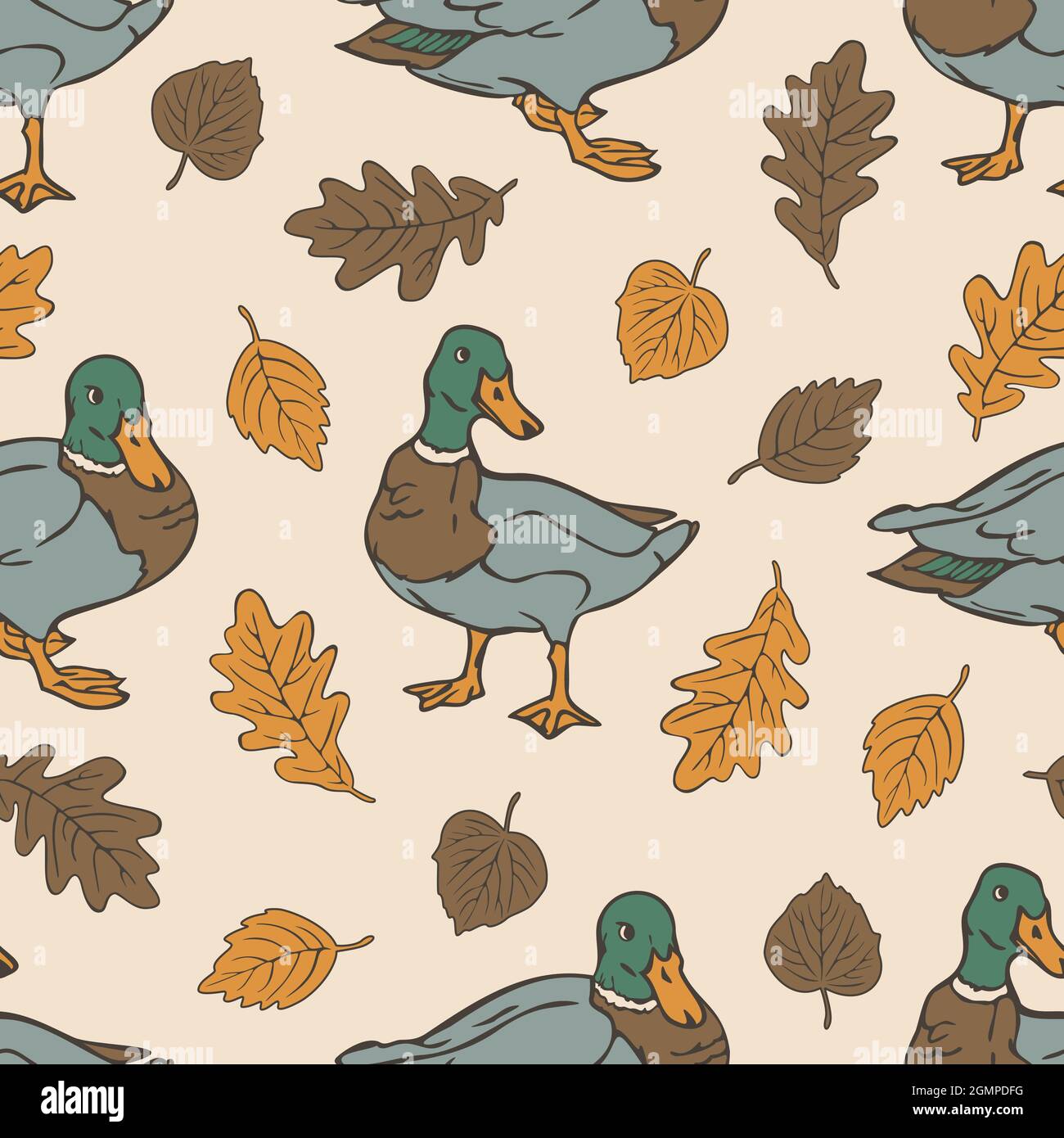 Vector seamless pattern with drakes and autumn leaves. Design with wild ducks. Stock Vector