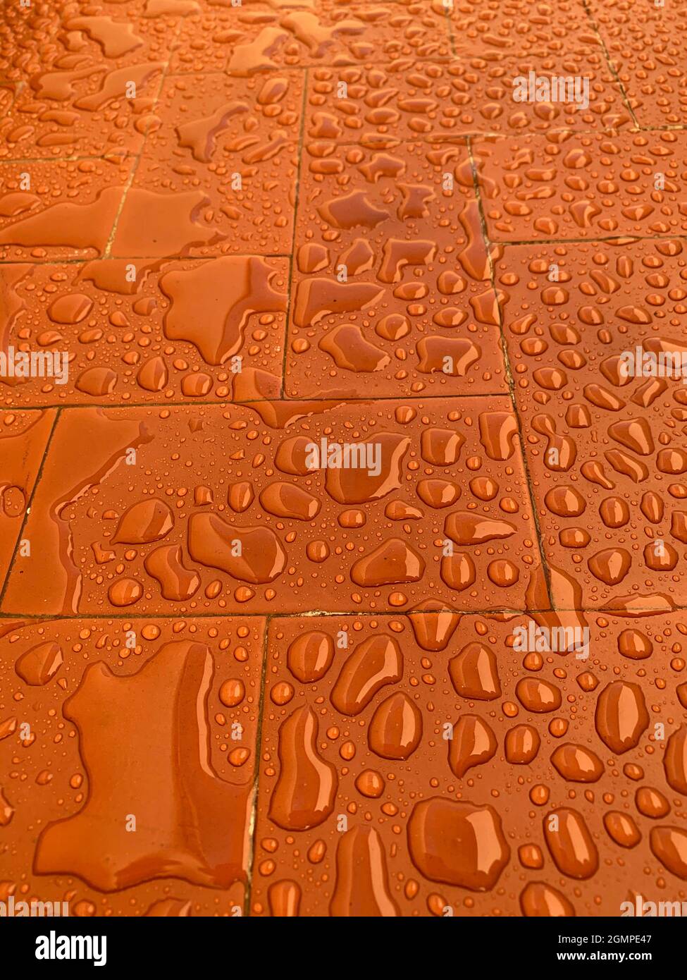 Raindrops on the outdoor floor. Stock Photo
