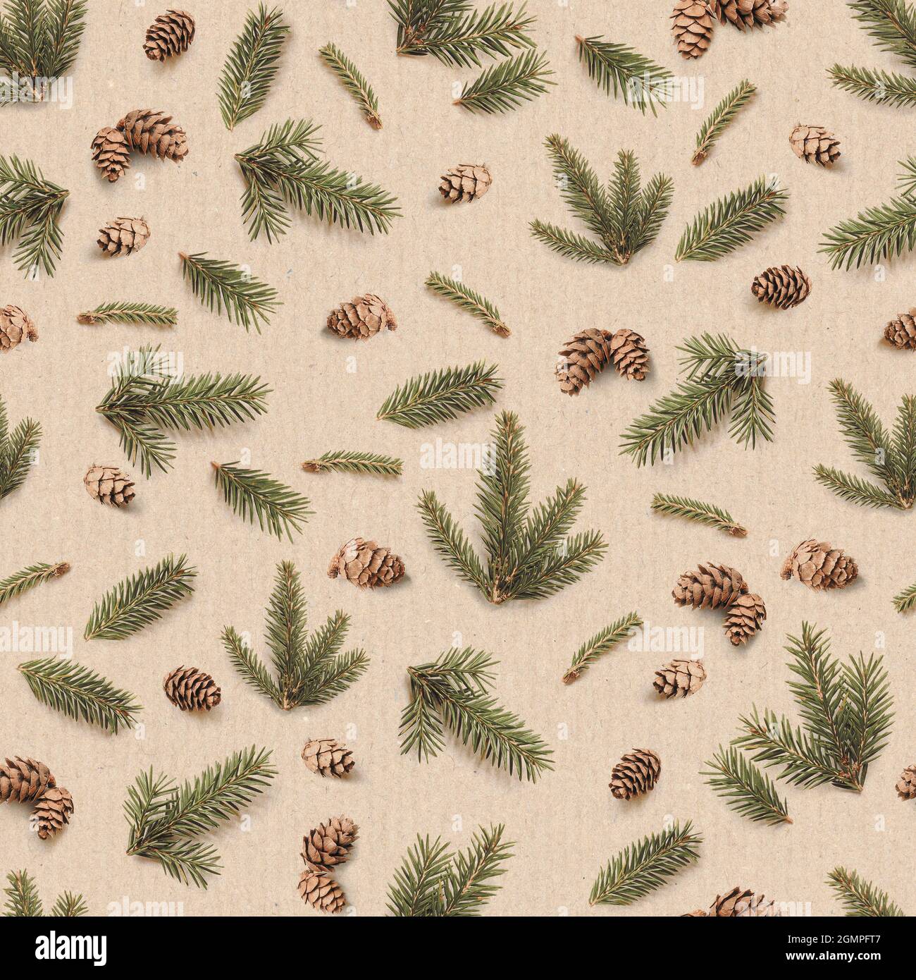 Christmas seamless pattern of Fir branches and pine cones. Winter ...